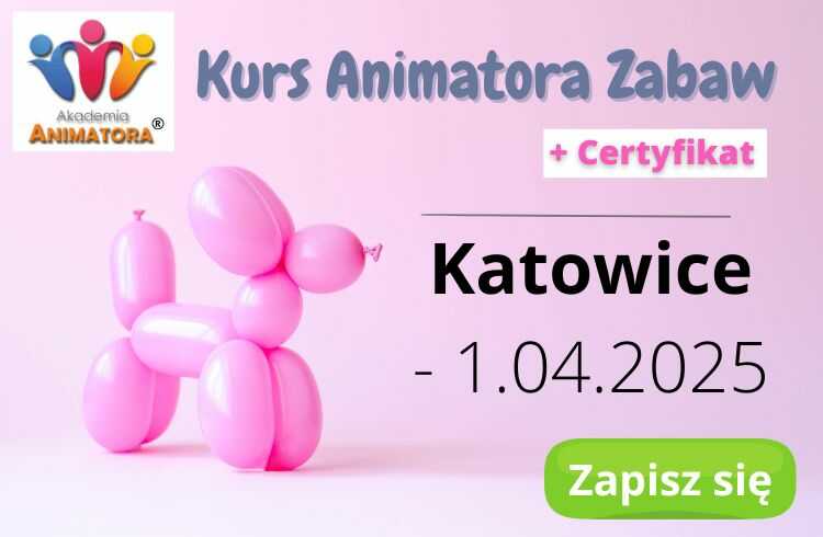 Kurs Animatora Katowice